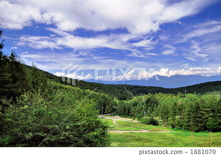 Musashino Orikaso Mire Musashino Orikaso Mire 1881070