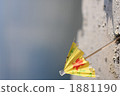 parasol, parasols, zanpa beach 1881190