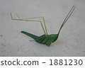 Grasshopper 1881230