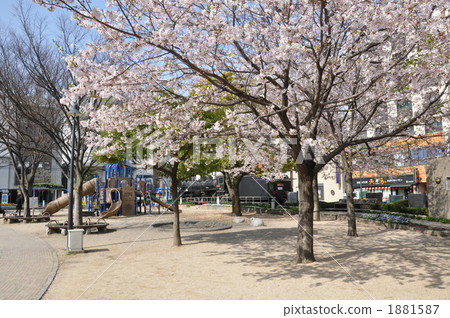 若狹公園 若狹公園 1881587