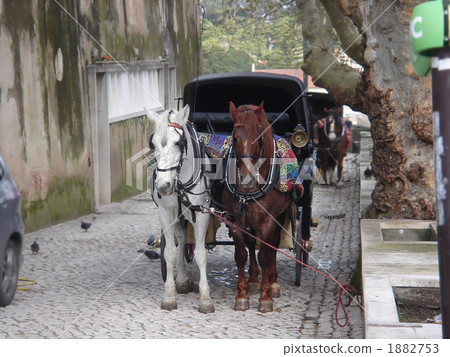 Sintra's coach 1882753