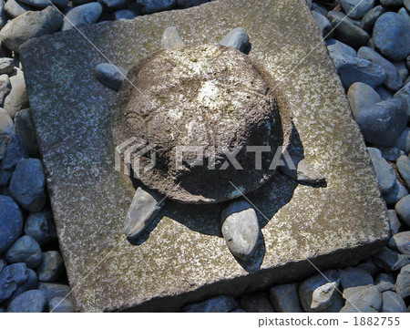Stone turtle 1882755