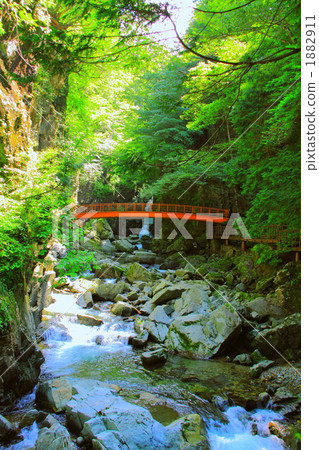 suspension bridge, takimi bridge, rivers 1882911