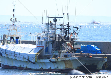 Fishing boat of the scsoo fishing 1883074