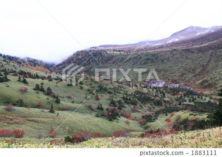 秋葉在信州 秋葉在信州 1883111