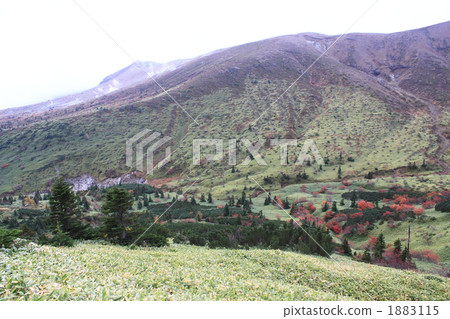 秋葉在信州 1883115