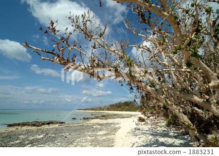 Taketomijima Kaiji Beach 1 1883231