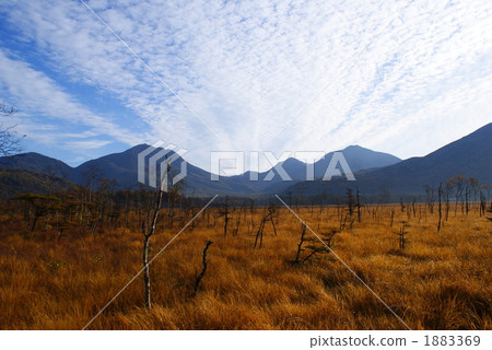 戰場 風景 日光 1883369