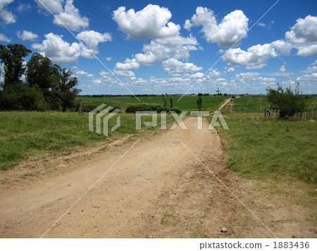 The way to Uruguay's farm The way to Uruguay's farm 1883436