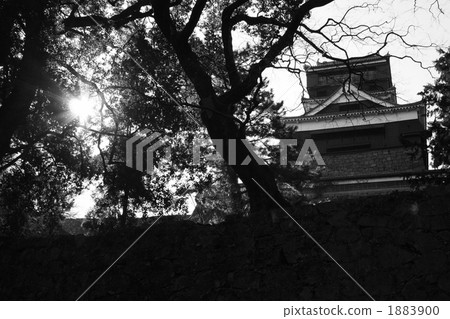 熊本城堡 文化資產 特殊歷史遺跡 1883900