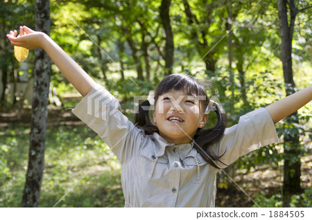 Forest bathing 1884505