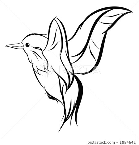 翠鳥 畫線 插圖素材 圖庫