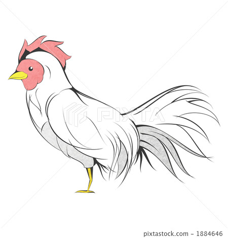 雞 雞 1884646