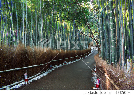 京都嵯峨野的竹林小徑 1885004