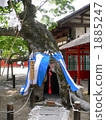 Ikushima明日香神社 1885247
