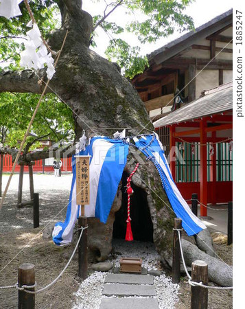 Ikushima明日香神社 1885247
