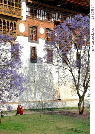 不丹的Punakha Don 不丹的Punakha Don 1885994