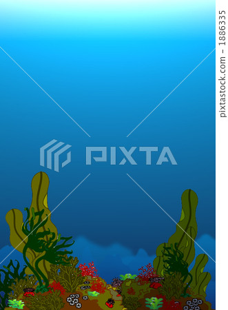 海藻 illustration 數字動畫 1886335