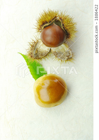 秋天的栗子 1886422