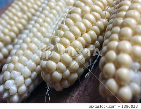 summer vegetables, corn, food 1886828