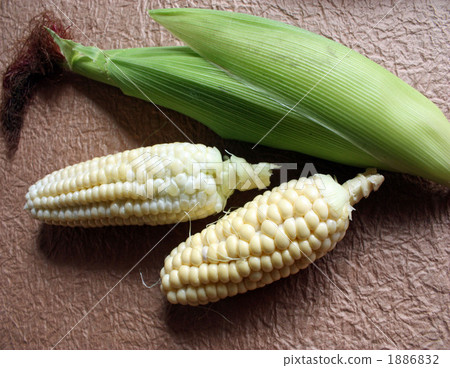 summer vegetables, corn, food 1886832