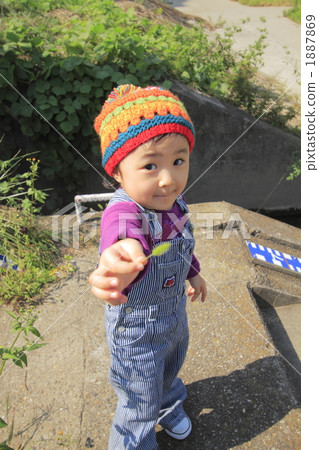 A girl showing a cat sleeping on camera A girl showing a cat sleeping on camera 1887869