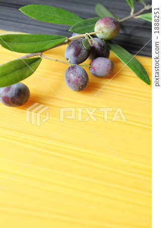 橄欖與綻放和spaghettini 1888251