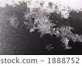 snow flake, crystal, crystalization 1888752