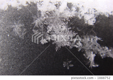 snow flake, crystal, crystalization 1888752