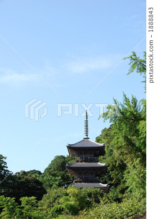 Yasinori Yasinori 1888843