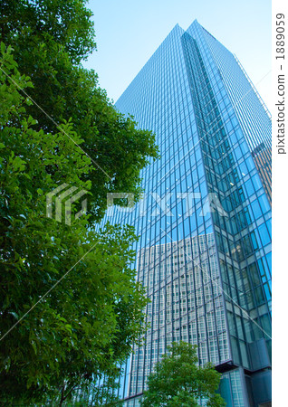 辦公樓和樹 1889059