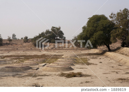 哈拉帕的廢墟 1889819