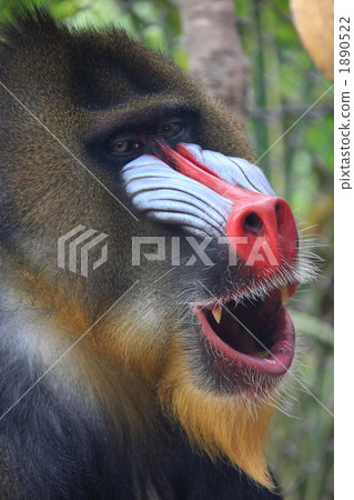 穆迪好心情 穆迪好心情 1890522