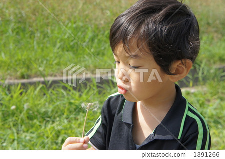 孩子們吹蒲公英的絨毛 1891266