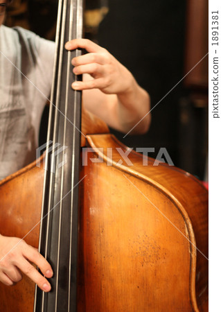 低音提琴 弦樂器 表演 1891381