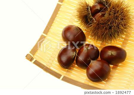 籃子裡的栗子 1892477