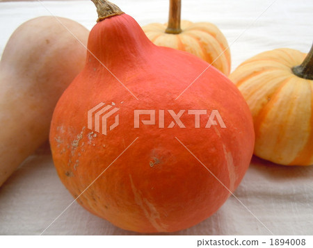 Western pumpkin Western pumpkin 1894008