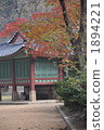 Changdeokgung Palace of autumn leaves ② 1894221