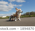 Wanco wheelchair 3 1894870