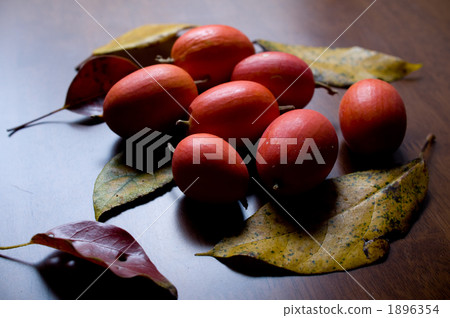 snake gourd, japanese snake gourd, fruit 1896354