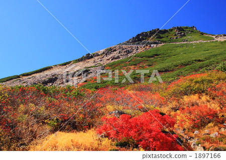 秋天的Mt. Norikura 1897166