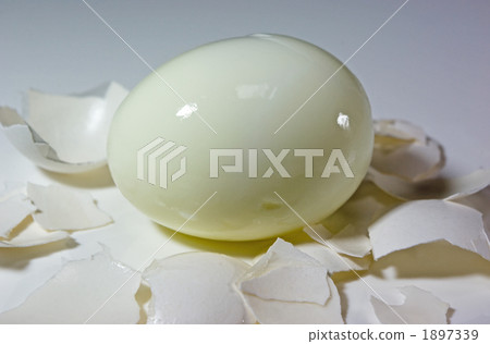 Boiled egg Boiled egg 1897339