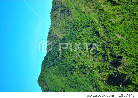 Mountain Mountain 1897445