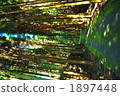 Mountain road 1897448