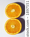 valencia orange, cross-section, sectional 1897551