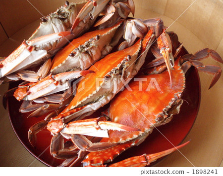 carapace, crab, crabs 1898241