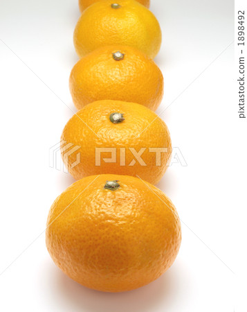 Orange  1898492