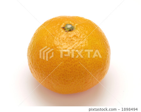 桔子 桔子 1898494