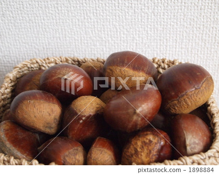 栗子 栗子 1898884