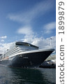 vehicle, ship, ferry 1899879